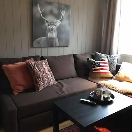 Geilo Center 아파트 *